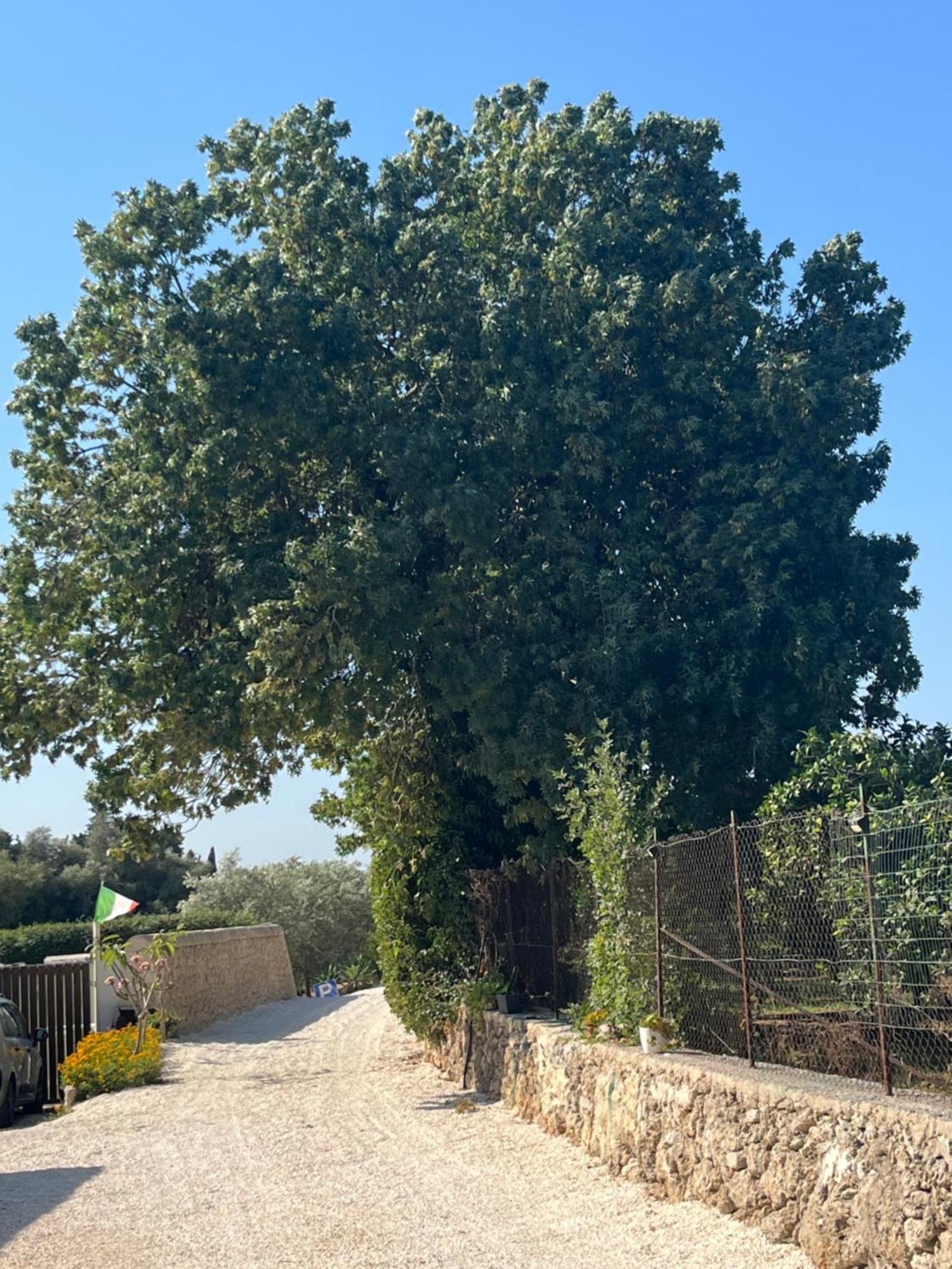 U Pantanu Διαμέρισμα Συρακούσες Εξωτερικό φωτογραφία